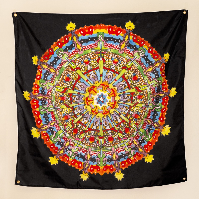 of Montreal – Hissing Fauna Flag
